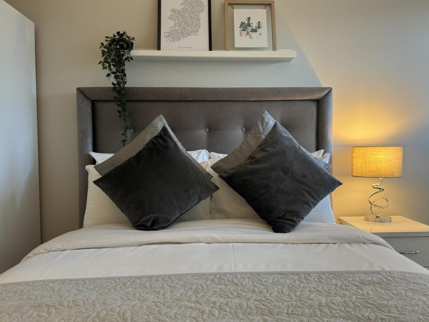 Central Belfast Apartments Sandford Εξωτερικό φωτογραφία